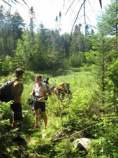 WFR Certification